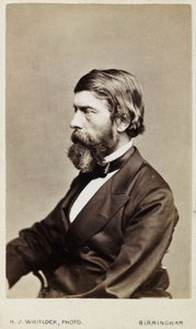 アレキサンダー・ウィリアム・ウィリアムソン、スコットランドの化学者、1865年頃 作： Unbekannt