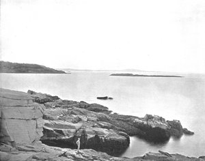 沿岸、米国メイン州バーハーバー、c1900。 作： Unbekannt