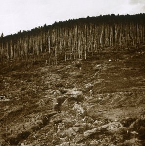 アルザス、c1914-c1918