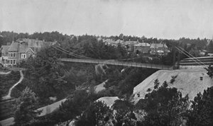 ミョウバンチャイネ、c1910 作： Unbekannt