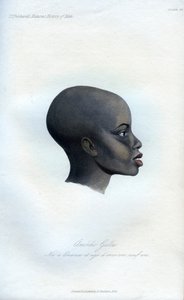 アモチガラ、ガラの肖像画、1848 作： Unbekannt