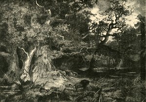 古いドイツの森、1890年。 作： Unbekannt