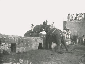象の戦い、ハイデラバード、インド、1895年。 作： Unbekannt