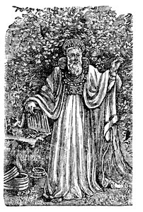 判決の胸当て、c1900を身に着けている古代イギリスのArch-Druid 作： Unbekannt