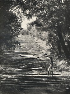 ミヒンテールの石の階段の始まり、1926年