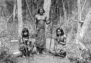 少なくともインディアン、北チャコ、パラグアイ、1895 作： Unbekannt
