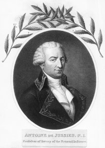 アントワーヌドジュシュー、18世紀のフランスの植物学者、1807年 作： Unbekannt