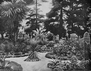 アリゾナガーデン。モントレー、カリフォルニア、c1897。