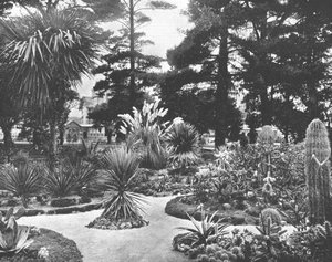 アリゾナガーデン、モントレー、カリフォルニア、米国、c1900。