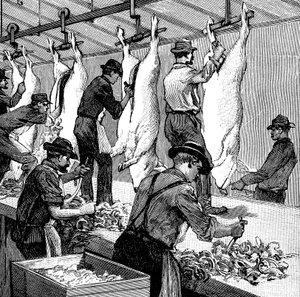 アーマーカンパニーズの豚食肉処理場、米国イリノイ州シカゴ、1892年