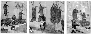 アーマーカンパニーズブタ食肉処理場、シカゴ、イリノイ、米国、1892