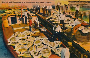 タートルボートの到着と荷下ろし、フロリダ州キーウェスト、c1940年代 作： Unbekannt