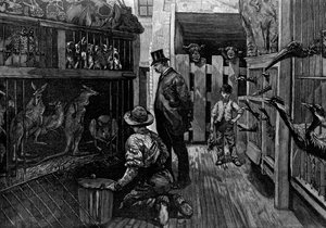 1887年、ロンドンのジャムラッハスで 作： Unbekannt