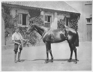 オーストラリアの星、1911 作： Unbekannt