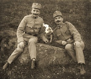 犬を連れたオーストリア兵 作： Unbekannt