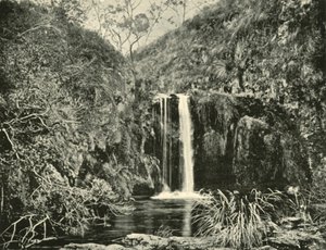 バッククリーク滝、ビクトリア州ブチャン川、1901年。 作： Unbekannt
