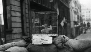 1944年8月、パリの解放、シャトーダン通りのバリケード 作： Unbekannt