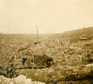 バトルフィールド、ブゾンヴォー、ヴェルダン、フランス北部、c1914-c1918