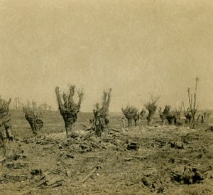 戦場、北フランス、モーレパス、c1914-c1918 作： Unbekannt