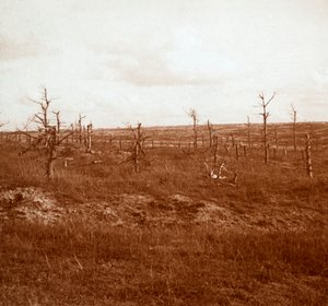 バトルフィールド、タフル、北フランス、c1914-c1918 作： Unbekannt