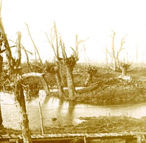バトルフィールド、c1914-c1918 作： Unbekannt