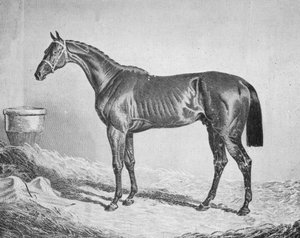 ベイミドルトン、1833-1857、1911 作： Unbekannt