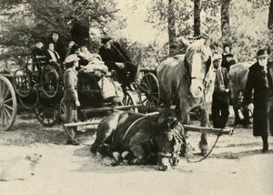 ベルギーの難民の道、1939-1940、1941年。