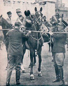 ベニート・ムッソリーニ、イタリアのファシスト指導者、c1922-1933 作： Unbekannt