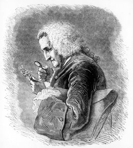 ベルナールドジュシュー、18世紀のフランスの植物学者、1880年