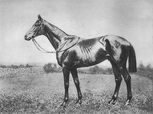 ブラックアロー、1911 作： Unbekannt