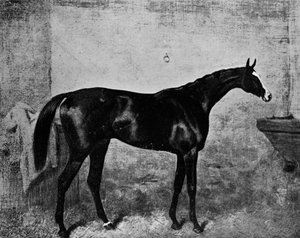 ブレアアソール、1861-1882、1911 作： Unbekannt