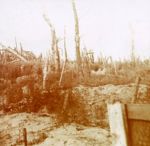 ブラストウッド、Nieuwpoort、フランダース、ベルギー、c1914-c1918