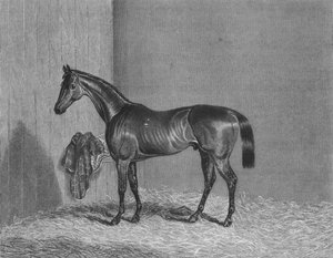 ブルームズベリー、1836-1861、1911 作： Unbekannt