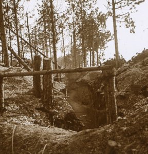 フランス北部、ボワ・ル・プレトル、c1914-c1915