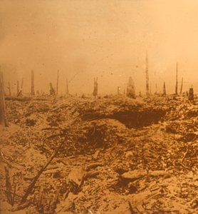 Bois du Chapitre、ヴォー、北フランス、c1914-c1918 作： Unbekannt