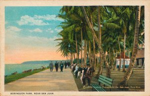 1906年、サンファン近郊のボリンケン公園