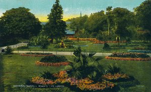植物園、リージェンツパーク、ロンドン、c1910