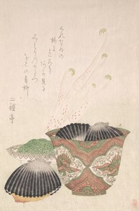 18～19世紀の黒貝とウド植物の鉢。 作： Unbekannt