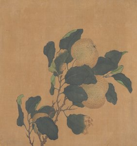 フルーツの木の枝。 作： Unbekannt