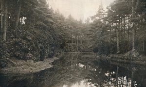 地味な中国と湖、c1910 作： Unbekannt