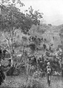 1915年の第一次世界大戦、ドイツの東アフリカの国境にある低木地帯のイギリス軍