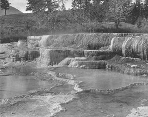 ブラウンサルファースプリングス、イエローストーン国立公園、アメリカ、c1900。 作： Unbekannt