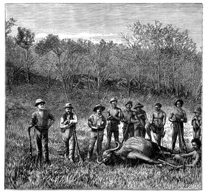 南アフリカ、トランスバールのバッファローハンター、c1890 作： Unbekannt