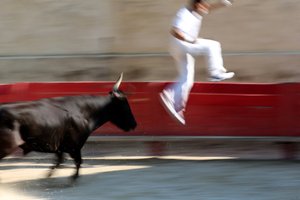 闘牛（Course camarguaise）。雄牛の頭からロゼットを奪うことを目的とした（雄牛にとっては）無血のスペクタクル（フランス・ヴァラブレーグ市 作： Unbekannt