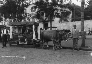 ブロックキャリッジ、マデイラ、ポルトガル、c1920s-c1930s 作： Unbekannt