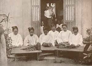ビルマシガーメーカー、1900年。 作： Unbekannt