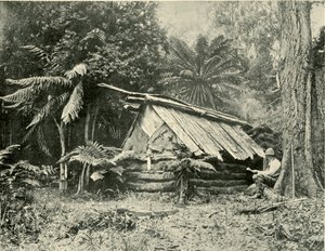 ブッシュハット、ダンデノン山脈、ビクトリア州、1901年。