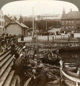 忙しい北極圏の貿易港であるトロムソー69°38 N. Lat。、ノルウェー北部、1902年に魚を買う。 作： Unbekannt