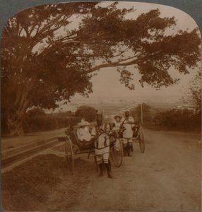 居住道路、南アフリカ、ダーバンの原住民によって描かれたタクシー、c1900 作： Unbekannt