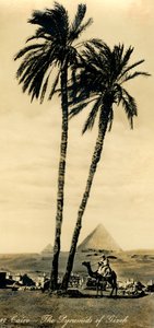 カイロ-ギルゼのピラミッド、c1918-c1939。 作： Unbekannt